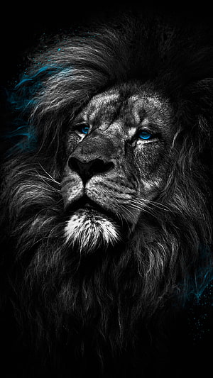 Majestic Black Lion Portrait with Glowing Blue Eyes and Cyan Smoke HD phone wallpaper