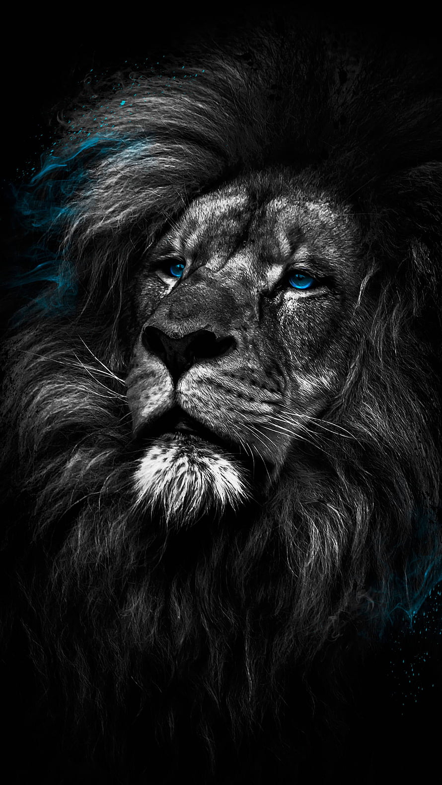 Majestic Black Lion Portrait with Glowing Blue Eyes and Cyan Smoke HD phone wallpaper