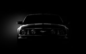 Ford Mustang Shelby GT500 Front Silhouette in Dramatic Black and White Studio Lighting HD wallpaper