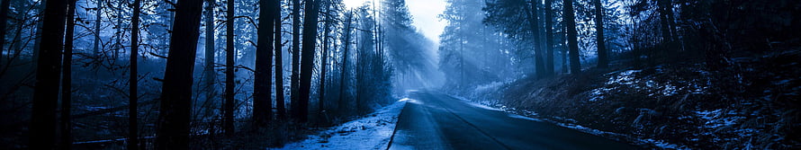 Misty Pine Forest Road at Dusk with Snow and Sunbeams HD wallpaper