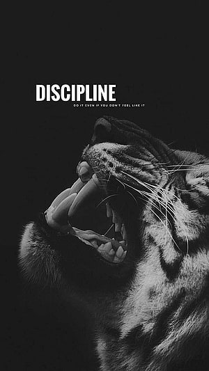 Black and White Roaring Tiger Motivational Quote Wallpaper HD phone wallpaper