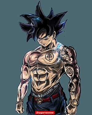 Goku Ultra Instinct Streetwear Concept Art with Supreme and Polo Ralph Lauren Branding HD phone wallpaper