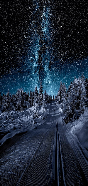 Snow-Covered Forest Road Under the Milky Way in Gausdal, Norway HD phone wallpaper