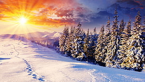 Snowy Mountain Landscape with Pine Trees and Vibrant Sunset Sky HD wallpaper