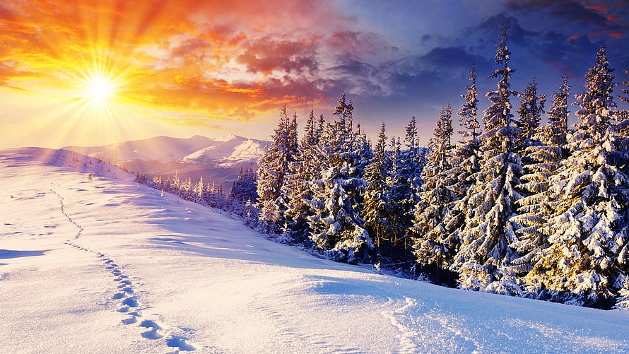 Snowy Mountain Landscape with Pine Trees and Vibrant Sunset Sky HD wallpaper