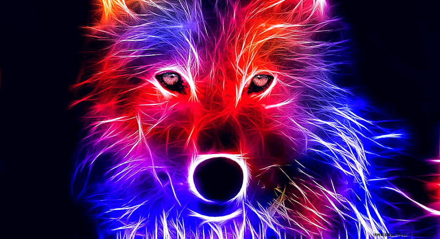 Neon Wolf Face with Vibrant Red and Blue Electric Fur on Black Background HD wallpaper