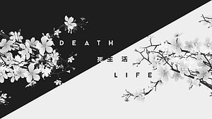 Monochrome Cherry Blossom Branches With Japanese Calligraphy And Minimalist Typography HD wallpaper