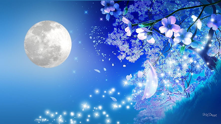 Full Moon and Cherry Blossoms Under a Starry Night Sky HD wallpaper