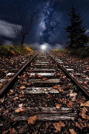 Abandoned Railway Tracks Under the Milky Way with Autumn Leaves and Distant Light HD phone wallpaper