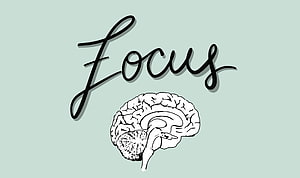 Focus Brain Illustration with Elegant Calligraphy on Mint Background HD wallpaper
