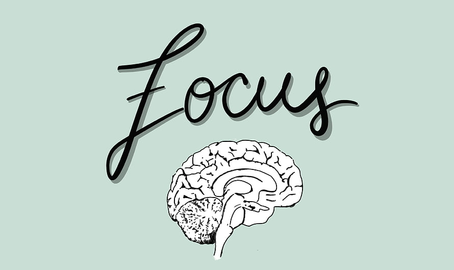 Focus Brain Illustration with Elegant Calligraphy on Mint Background HD wallpaper