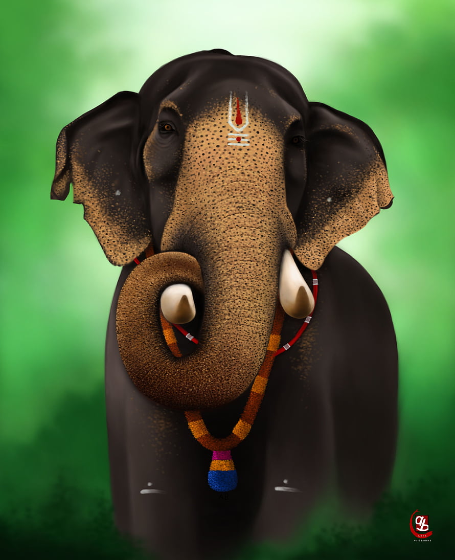Sacred Kerala Elephant Portrait with Traditional Markings and Floral Garland HD phone wallpaper