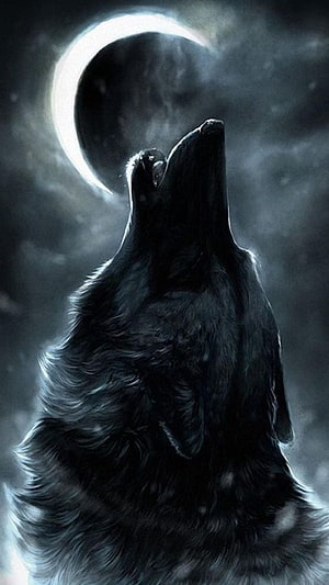 Dark Wolf Howling at a Crescent Moon Under a Starry Night Sky HD phone wallpaper