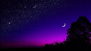 Violet Night Sky with Crescent Moon, Shooting Stars, and Silhouetted Tree HD wallpaper