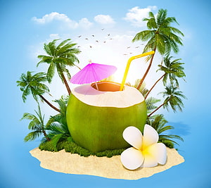 Tropical Coconut Island with Pink Umbrella and Plumeria Flower HD wallpaper