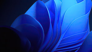 Windows 11 Dark Mode Abstract Blue Petal Wallpaper HD wallpaper