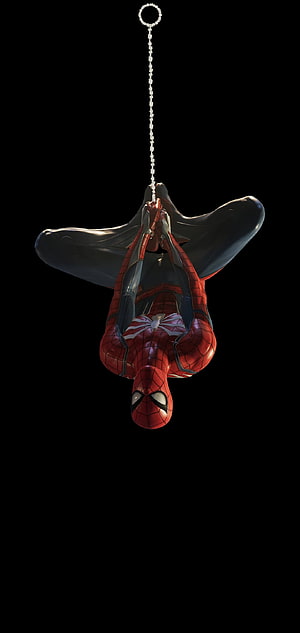 Spider-Man Hanging Upside Down on Web Against Black Background, Spider Man Notch HD phone wallpaper