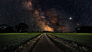 Milky Way Galaxy Arching Over a Dark Country Road at Night HD wallpaper