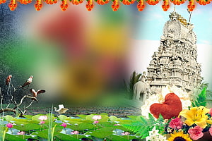 Indian Wedding Album Cover Design With Temple, Lotus Pond, and Floral Decor HD wallpaper