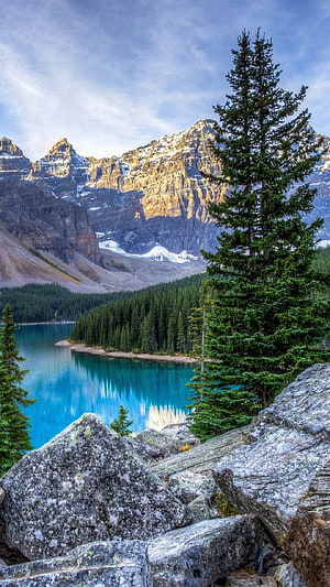 Turquoise Mountain Lake and Pine Forest in Glacier National Park Montana HD phone wallpaper
