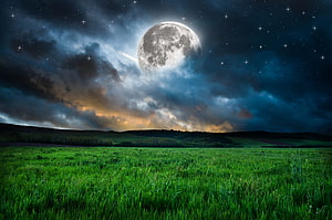 Full Moon Rising Over a Lush Green Meadow Under a Starry Night Sky HD wallpaper