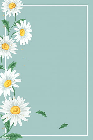 Watercolor Daisy Floral Frame on Soft Mint Green Background HD phone wallpaper