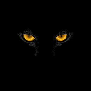 Mysterious Black Cat Eyes Glowing in the Dark with Golden Irises HD phone wallpaper