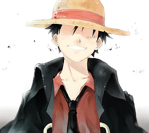 Monkey D. Luffy Anime Portrait Wearing Straw Hat and Black Coat HD wallpaper