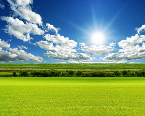 Vast Green Pasture Under Bright Blue Sky With Fluffy White Clouds And Sunburst HD wallpaper