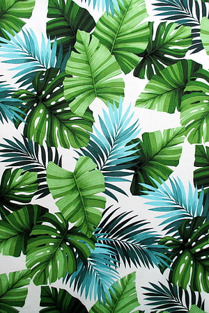 Tropical Monstera and Palm Leaf Pattern on Off-White Background HD phone wallpaper