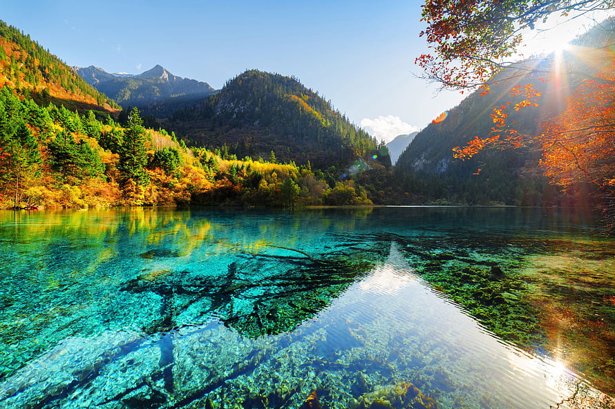 Crystal Clear Alpine Lake with Submerged Trees and Autumn Foliage HD wallpaper
