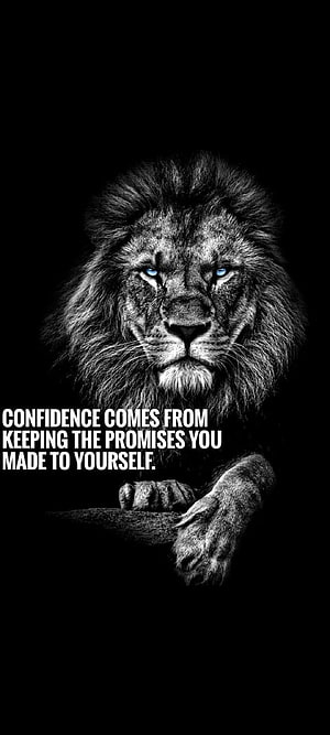 Majestic Lion Portrait With Blue Eyes And Motivational Quote On Black Background HD phone wallpaper