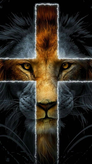 Lion of Judah with Glowing Cross Overlay on Dark Background HD phone wallpaper