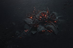 Burning Black Roses with Glowing Embers on Dark Ash Surface HD wallpaper