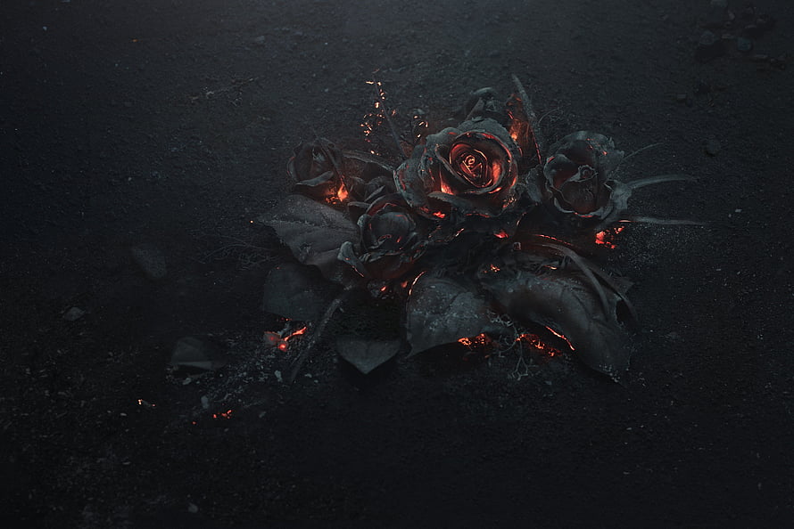 Burning Black Roses with Glowing Embers on Dark Ash Surface HD wallpaper