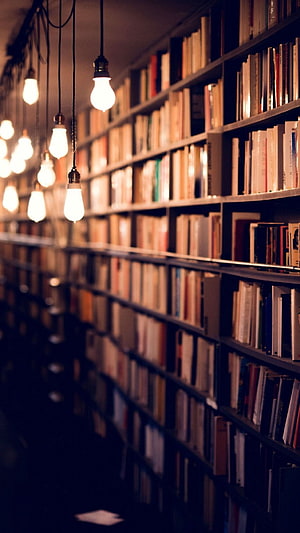 Cozy Library Interior With Warm Hanging Edison Bulbs And Tall Bookshelves HD phone wallpaper