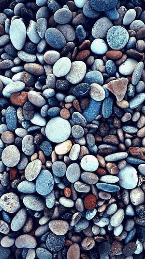 Close-up of smooth blue and grey pebbles with warm brown accents in a natural coastal setting HD phone wallpaper