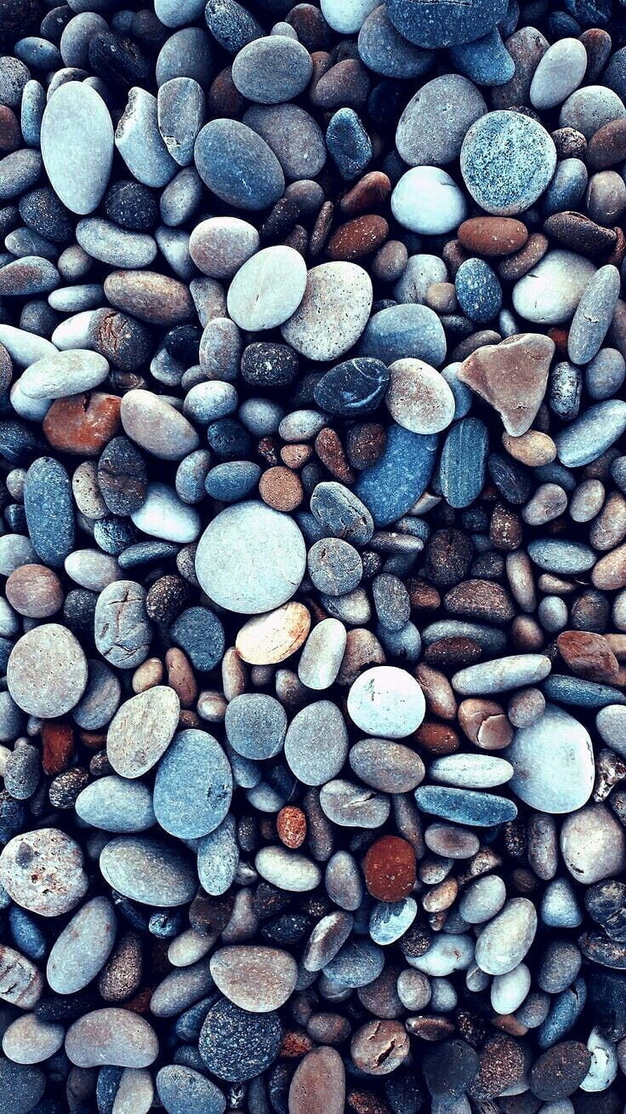 Close-up of smooth blue and grey pebbles with warm brown accents in a natural coastal setting HD phone wallpaper