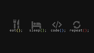 Minimalist Programmer Life Cycle Graphic with Eat Sleep Code Repeat Icons HD wallpaper