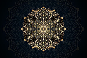 Intricate Gold Lace Mandala Pattern on Dark Background HD wallpaper