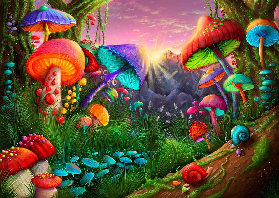 Vibrant Fantasy Mushroom Forest with Psychedelic Colors and Magical Snails HD wallpaper