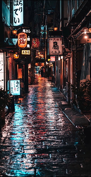Rainy Night in a Traditional Japanese Alley with Glowing Neon Signs and Wet Cobblestones HD phone wallpaper