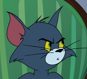 Tom from Tom and Jerry with an angry scowl against a green striped background HD wallpaper