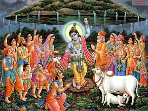 Lord Krishna with Gopis and Nandini in a Lush Forest Setting HD wallpaper