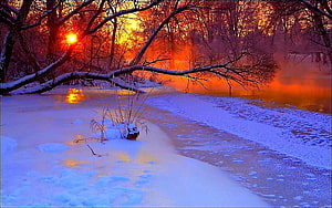 Frozen winter pond at sunset with snow-covered branches and vibrant orange sky HD wallpaper