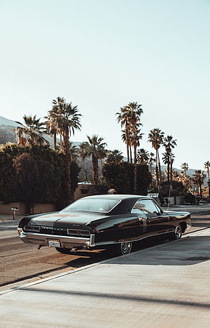 Black 1960s Pontiac GTO Classic Muscle Car Parked on a Street with Palm Trees HD phone wallpaper