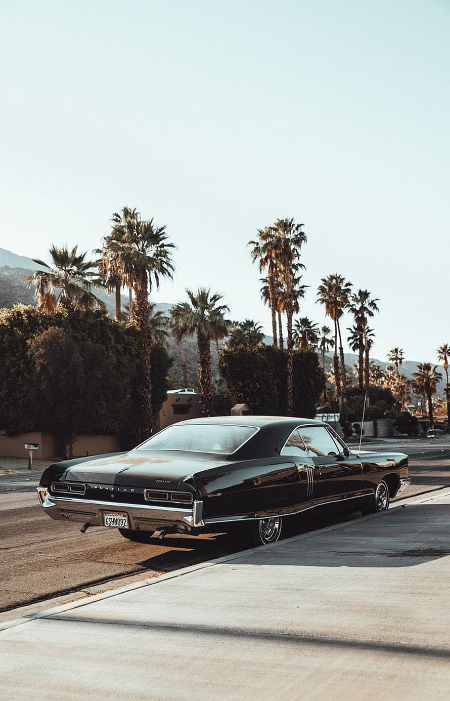 Black 1960s Pontiac GTO Classic Muscle Car Parked on a Street with Palm Trees HD phone wallpaper