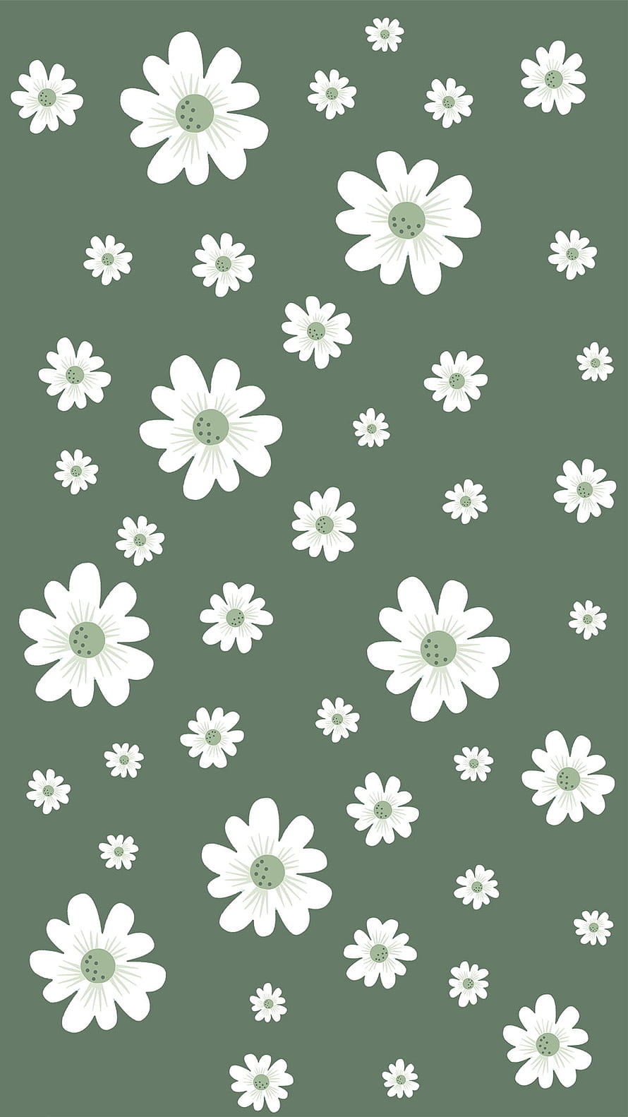 Sage Green Daisies Pattern with White Petals and Minimalist Floral Design HD phone wallpaper
