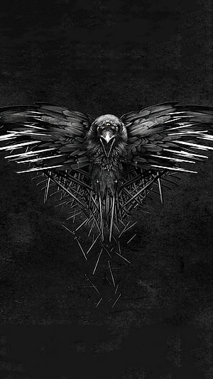 Game of Thrones Raven with Needle Wings on Dark Textured Background HD phone wallpaper