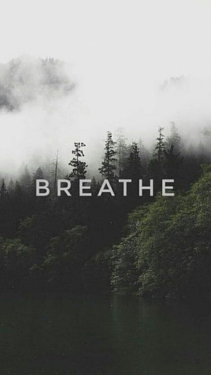 Misty Forest Lake with Breathe Text Overlay for Calm Mindfulness HD phone wallpaper